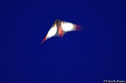 PENVINS 2012 - 0083